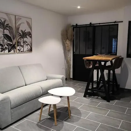 Appartement L'Annexe De L'Abbaye à Auxerre Extérieur photo
